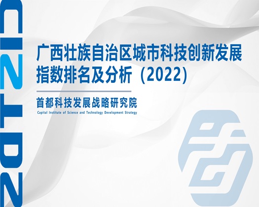 美女被大鸡巴猛操【成果发布】广西壮族自治区城市科技创新发展指数排名及分析（2022）